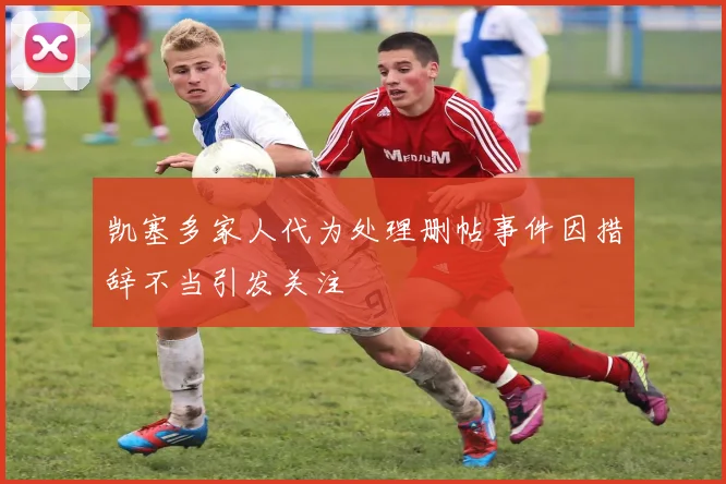 凯塞多家人代为处理删帖事件因措辞不当引发关注